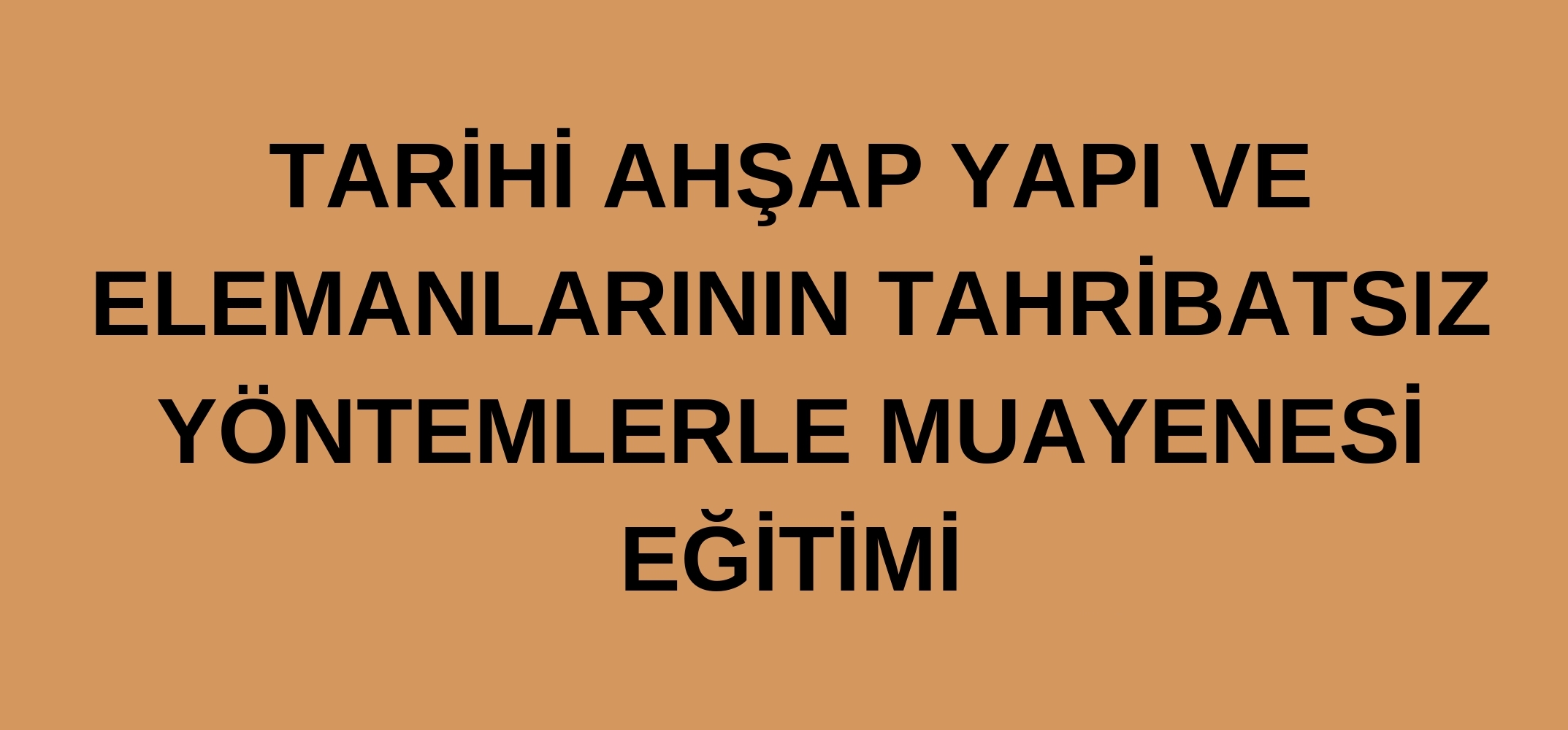 Tarihi Ahşap Yapı ve Elemanlarının Tahribatsız Yöntemlerle Muayenesi Eğitimi