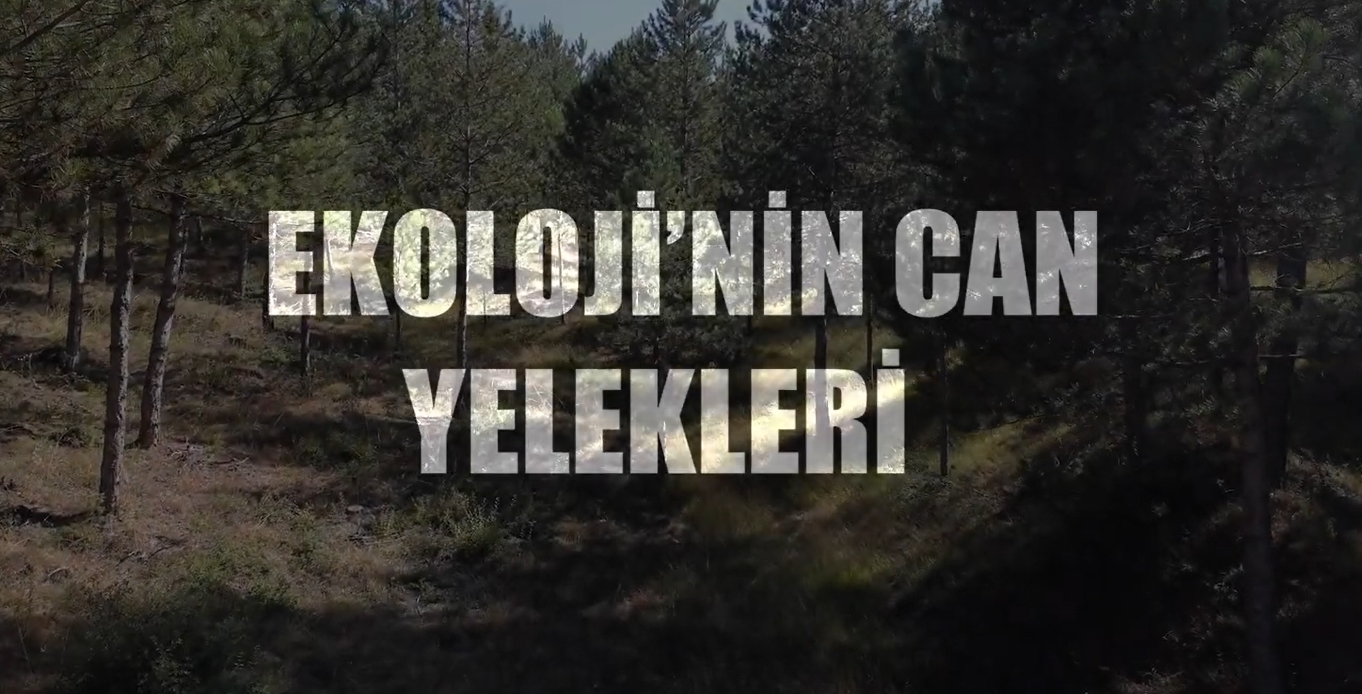 “Ekoloji’nin Can Yelekleri” Yayında