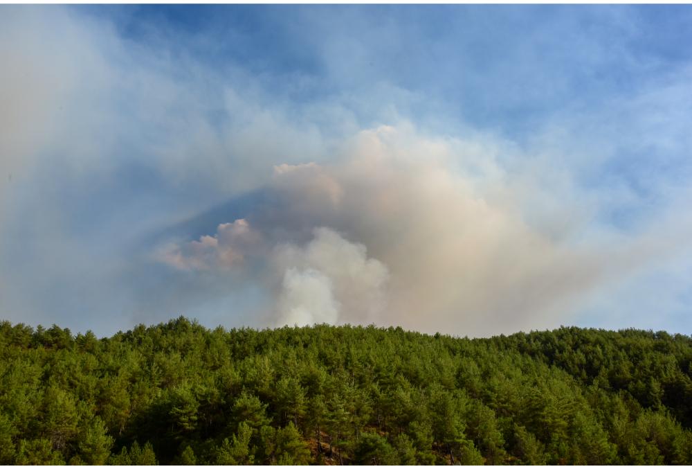 0bb46f3b-46ea-42df-8001-a6b0f520fe88