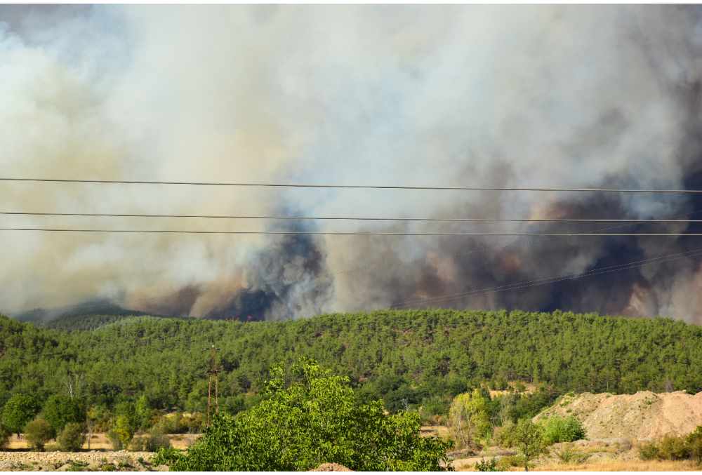 56477329-fd43-4bca-87c5-3208bede7f20