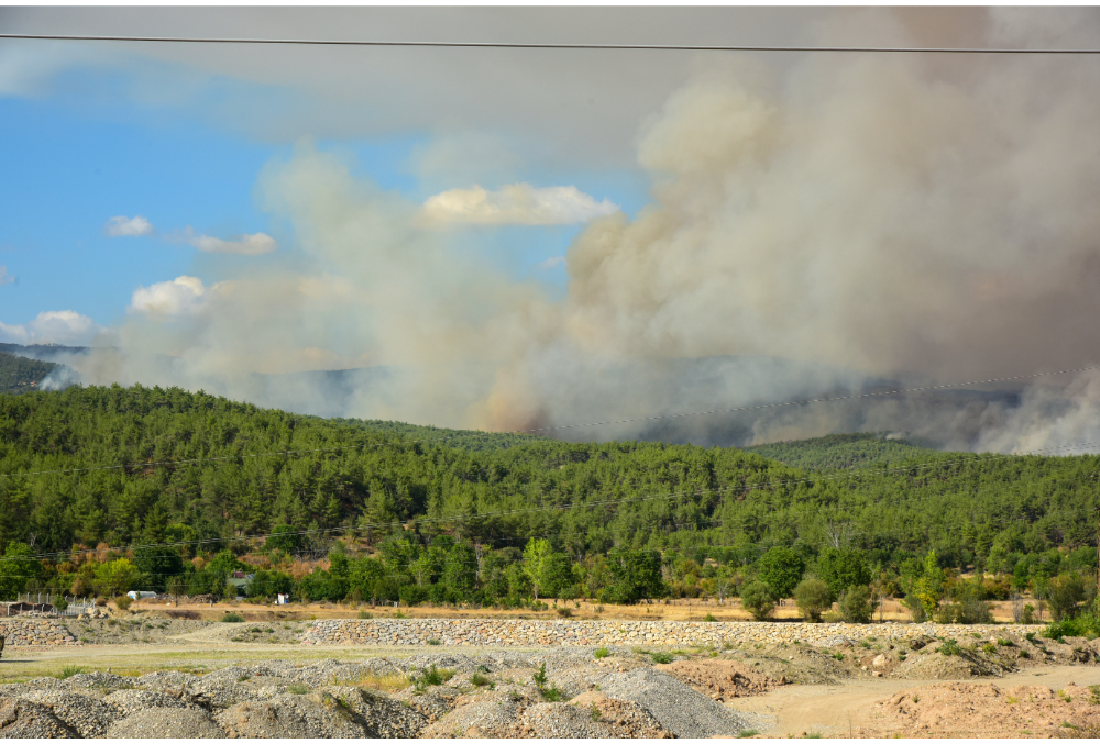 69221882-4e85-4b7c-baae-12baa5a656c0