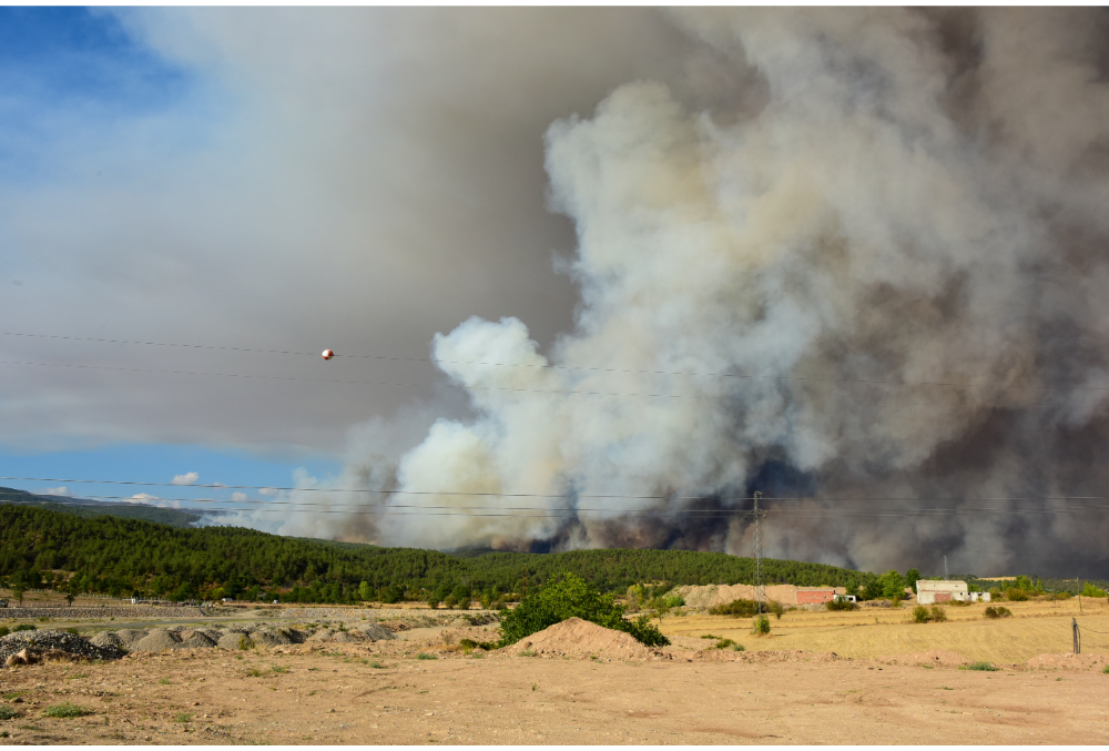 6e8ce1ce-c18f-41ba-bc14-4c1d654093a8