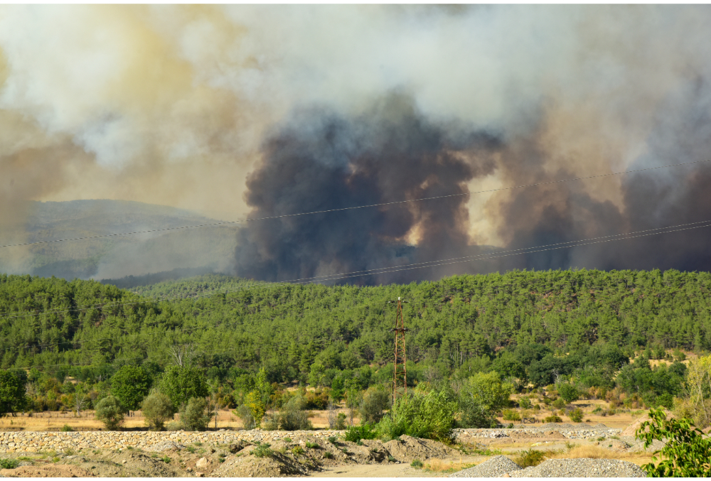 fcb3ee29-2a1d-4b34-b0a4-c860e1eb0f22